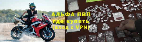 индика Заводоуковск