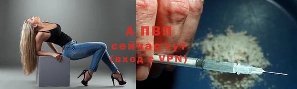 твердый Осташков