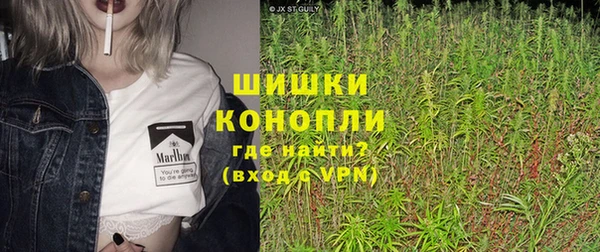 твердый Осташков